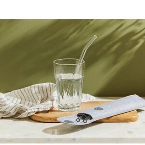 Grove Glass Straws Set of 4 with Case